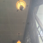 喫茶 ユーカリ - 