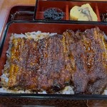 コジマヤ本店 - 