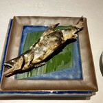 鮨 ひろ海 - 長良川産天然鮎塩焼き