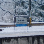 加賀屋 - 雪でした