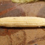 深川 まごろく - ヤングコーン