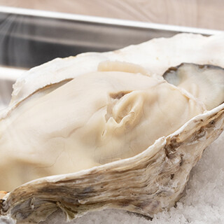 牡蠣好き必見◆贅沢盛りが自慢の「牡蠣めし」