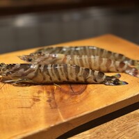 活け車海老【一尾】