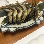 魚楽 - 神通川の天然鮎