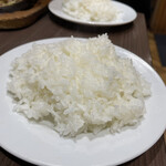 グルメ風月 - ライス大盛り¥420