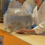 日本料理 別府 廣門 - 