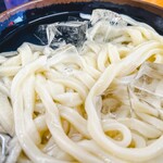 麺紡 - 冷やしうどん