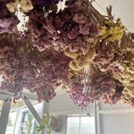 プランツカフェ コハルビヨリ - 