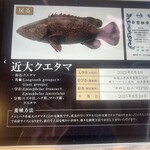 近畿大学水産研究所 大阪・関西万博 ウォータープラザ店 - 