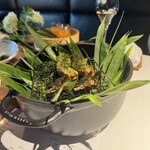 レフェルヴェソンス - 