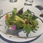 レフェルヴェソンス - 