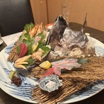 すしの藤つぼ - 豪華刺身盛り合わせ、とにかく新鮮