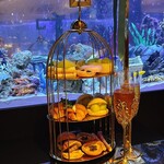 新宿 アクアリウムダイニング JeMare - 