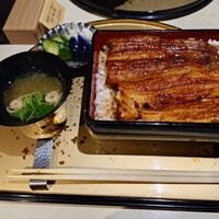 うなぎ 目白ぞろ芽 - 