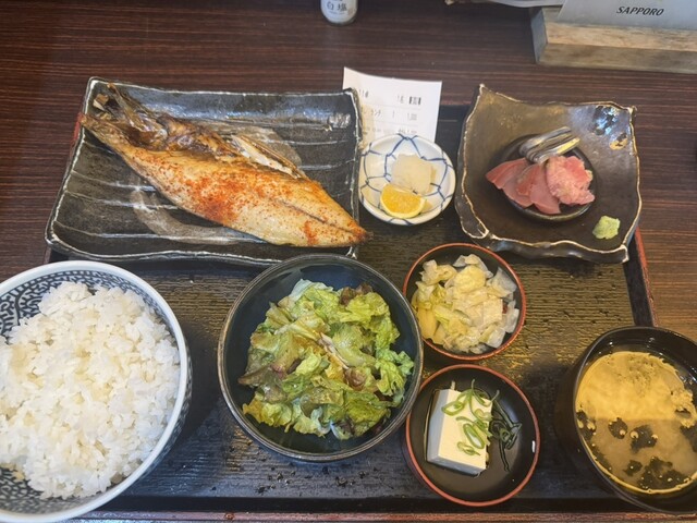 Sakana to Sake Hanatare Shinagawa Ten