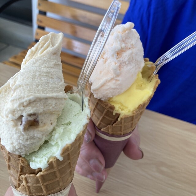 ジェラテリア ミケット （Gelateria mikette） - 北鉄金沢/ジェラート
