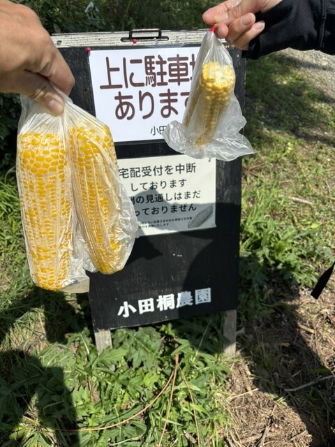 小田桐農園 - 岩木町その他（その他）の写真