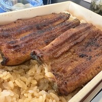 うなぎ 目白ぞろ芽 - 
