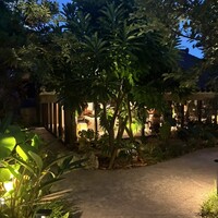 MOSS okinawa - 