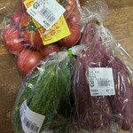 산테 슌사이칸