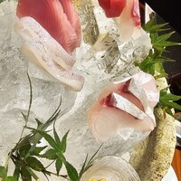 魚匠 銀平 心斎橋店 - 