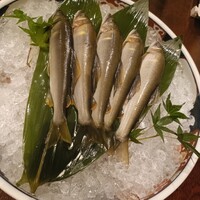 土佐料理 祢保希 赤坂店 - 