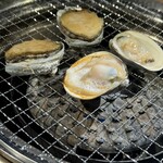 ススキノデパート - あわび　ハマグリ