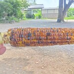 徳永農園 - 料理写真:焼きとうもろこし￥350