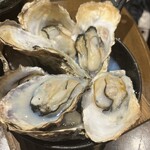 シーフードスタンド パチョレック ハナタレ 野毛店 - 