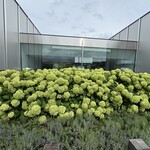 レストラン・アスペルジュ - 