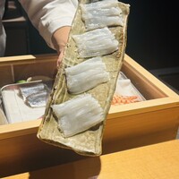 鮨shizuku 西天満 - アオリイカ