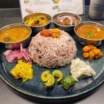 Curry Spice Gelateria KALPASI - 