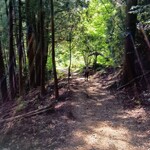 かあちゃんの店 - 