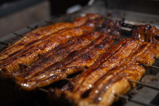 Kyoto Sumibi Unagi Suisen Gion Yasaka
