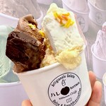 Premium Gelato ハレTerrace - 
