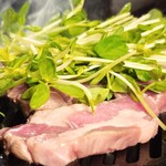 北海道ジンギスカン 前代未聞 - 