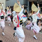 くいもの屋 北彩亭 - 「ヤットサー！」