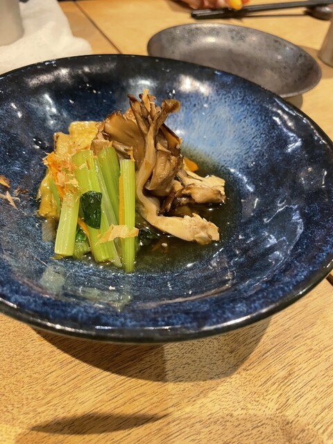 SACANOVA GRAN photo 3