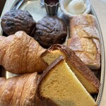 LAGOON TOOTH TOOTH - 