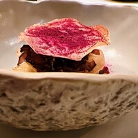 HELIOTROPE -  HELIOTROPE -