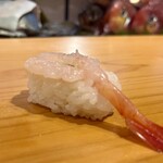 一本槍 - 甘海老