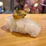 一本槍 - ひらめ