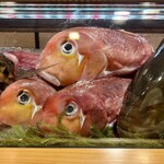 一本槍 - ショーケース2