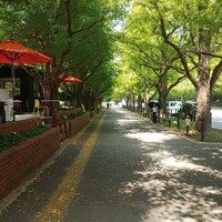 キハチ 青山本店 - 