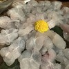 畑かく - 