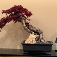 鮨 しづめ - 