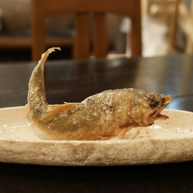 雨宿り - 盛岡（レストラン）の写真