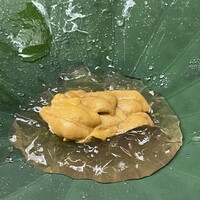 緒方 - 