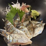 たぬき ラクーンドッグ - 