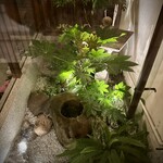 天王寺 豆ふ屋 やすまる - 